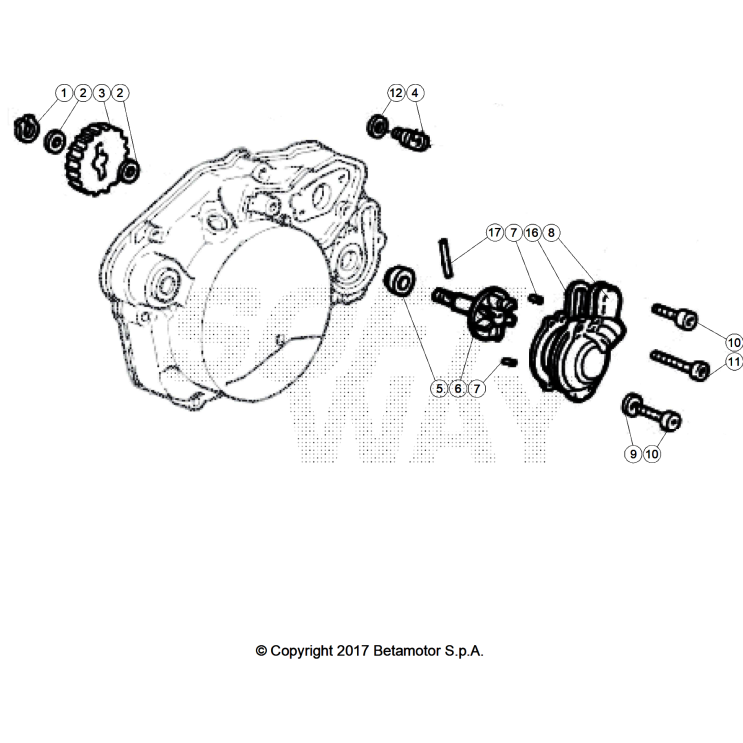 VUE ECLATEE POMPE A EAU BETA MOTARD 50 RR WHITE SPORT 2026